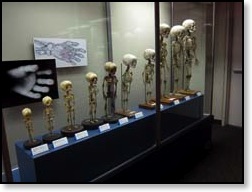 skeletons of children